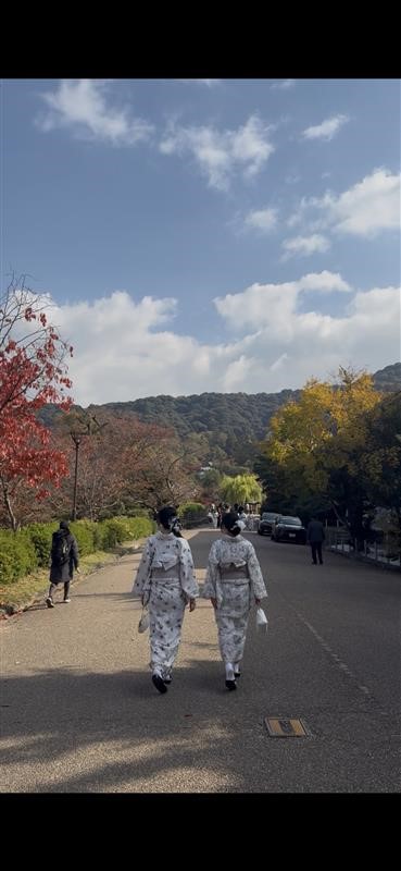 Image - 2025-11-14T142712.013